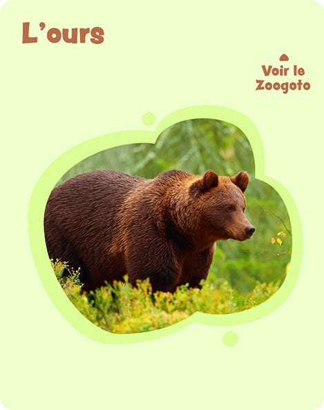 Carte 3_ou – verso