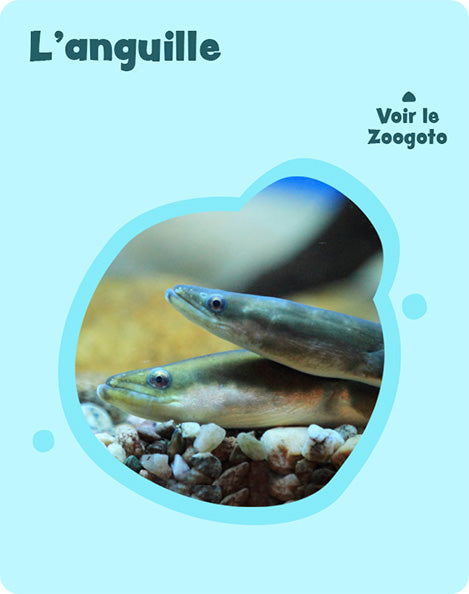 Carte 5_an – verso