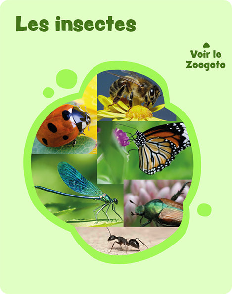 Carte 6_in – verso