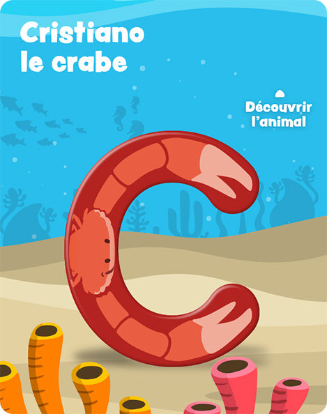 Carte c_1 – recto
