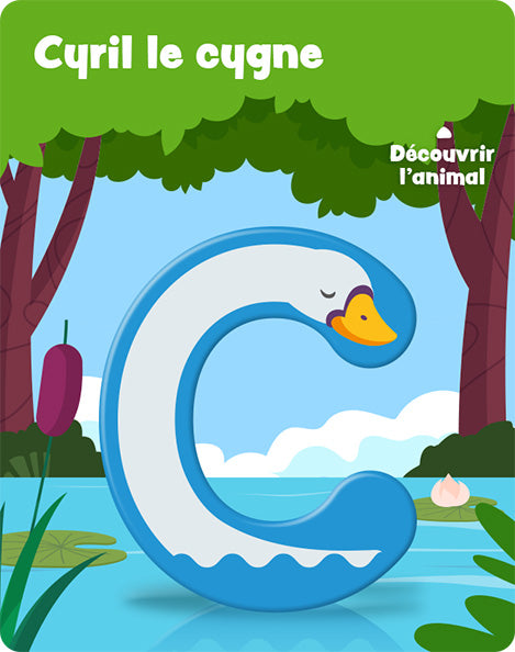Carte c_2 – recto