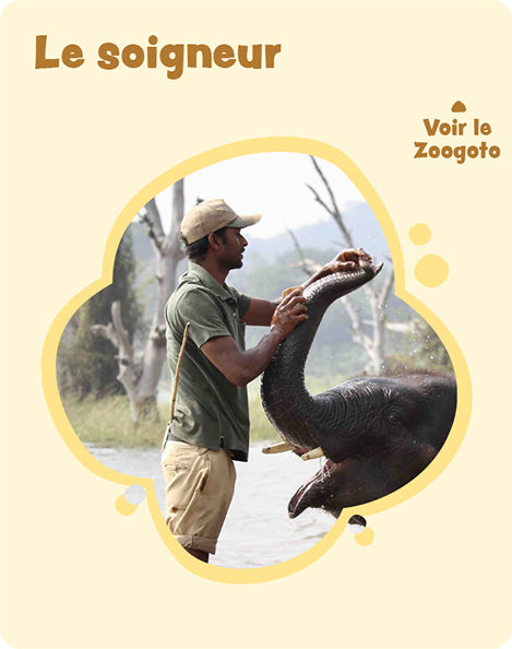 Carte e_1 – verso