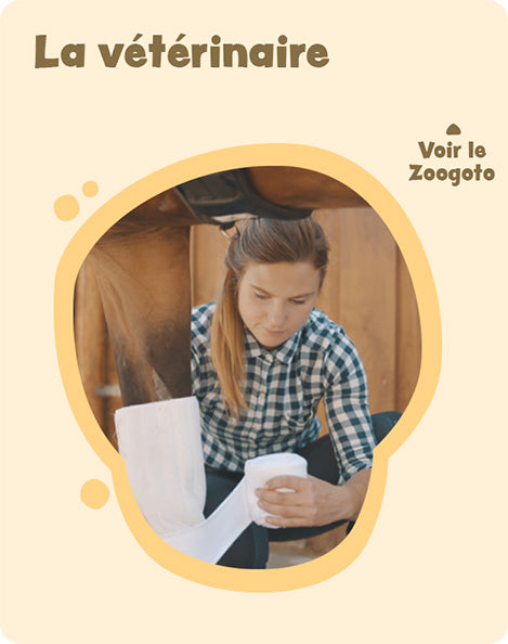 Carte e_3 – verso