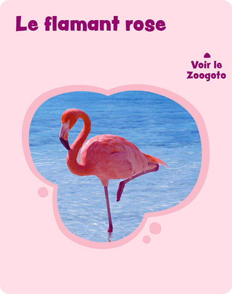 Carte f – verso