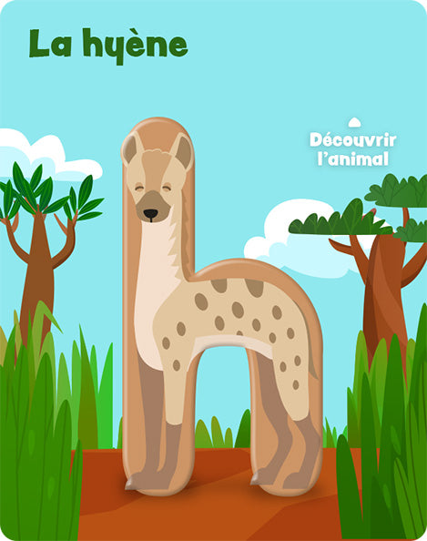Carte h – recto