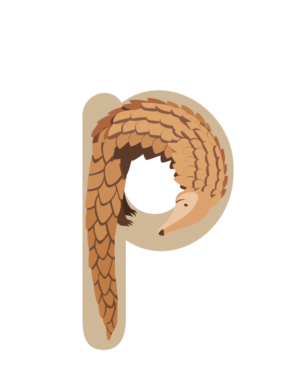 Frise p