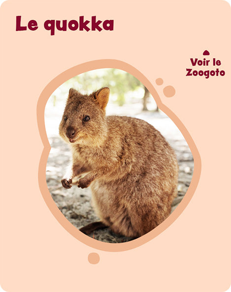Carte q – verso