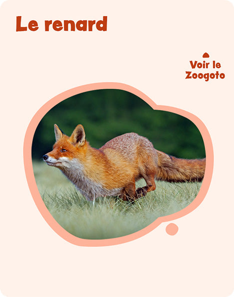 Carte r – verso