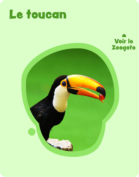 Carte t – verso