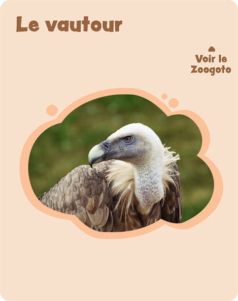 Carte v – verso