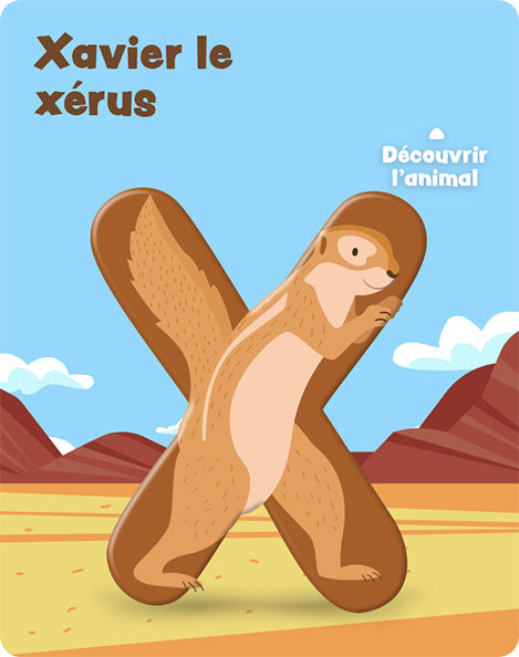 Carte x – recto