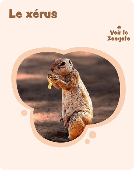 Carte x – verso