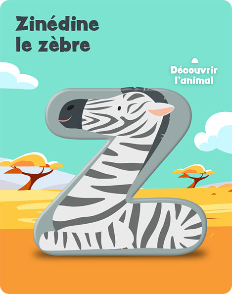 Carte z – recto
