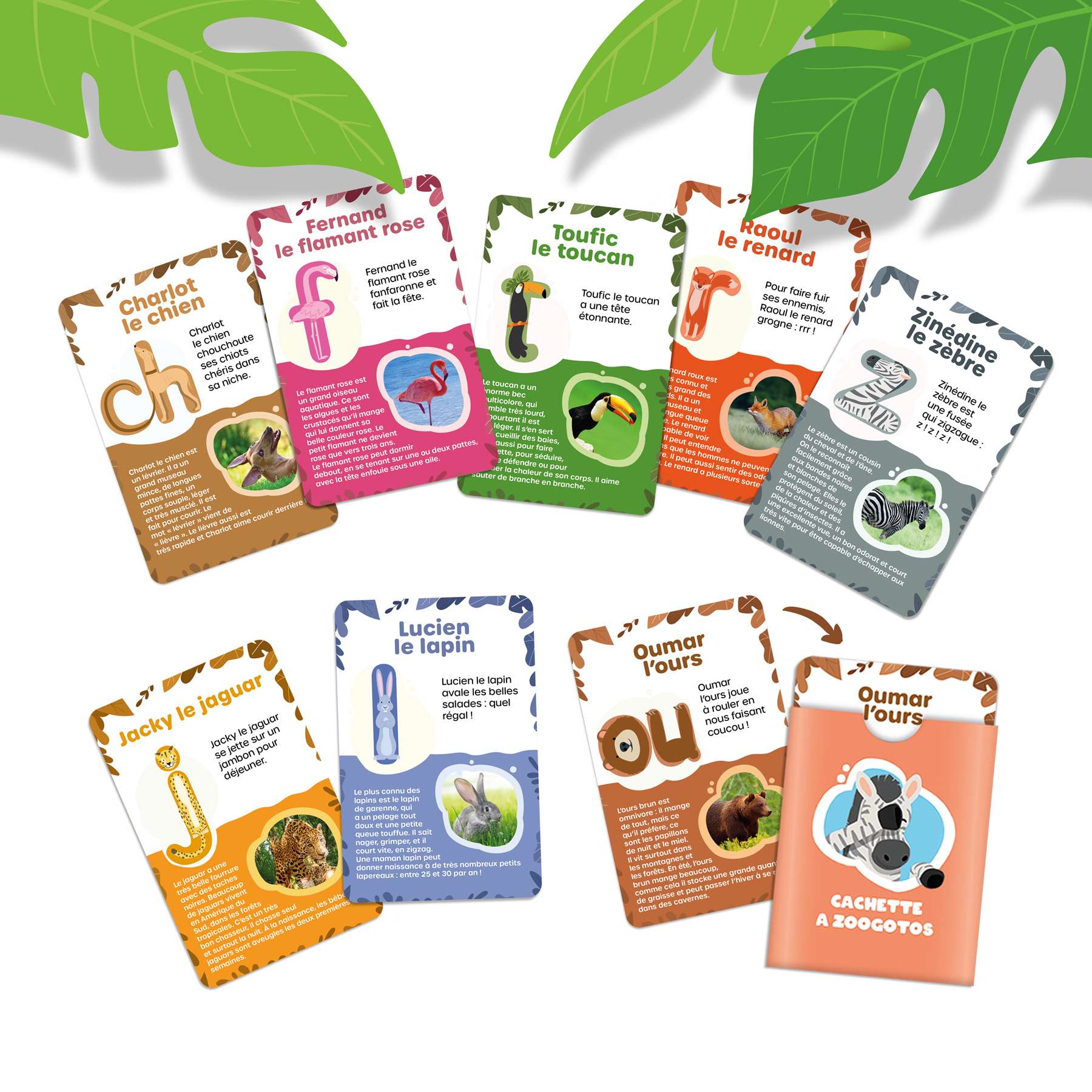 Joue avec les Zoogotos – Image 8